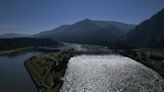 US acknowledges harm to tribes from Pacific Northwest dams