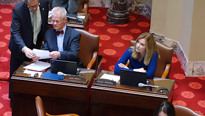 Sen. Nicole Mitchell returns to the State Capitol after burglary charge - MinnPost