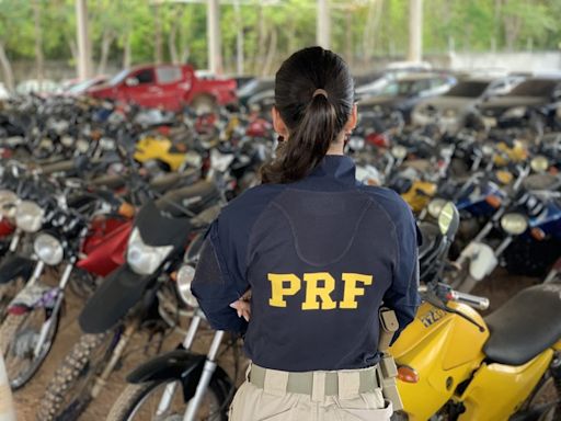 Leilão da PRF em Santa Catarina tem 238 veículos aptos a circulação a partir de R$ 290