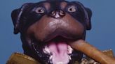 Triumph The Insult Comic Dog is Coming To The Den Theatre