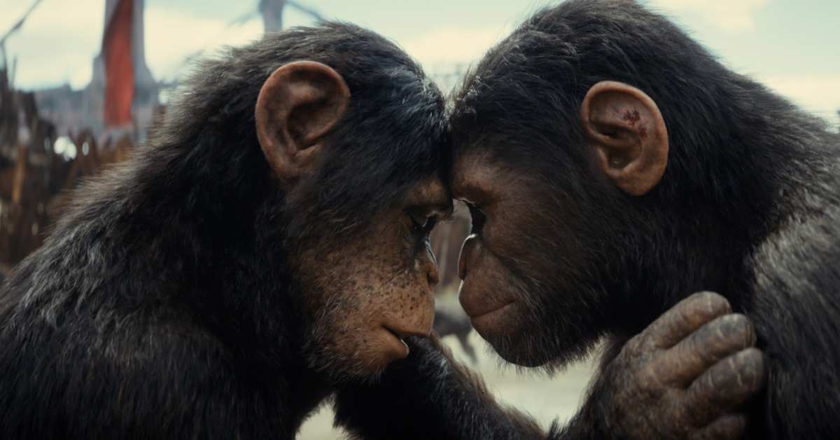 Kingdom of the Planet of the Apes First Reactions: “Phenomenal”, “Astonishing” and “Very Entertaining”