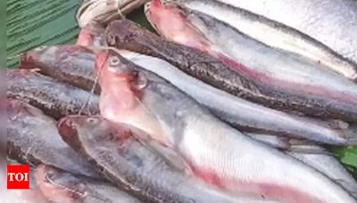 Bangladesh civil unrest impacts fish prices in Kolkata markets | Kolkata News - Times of India