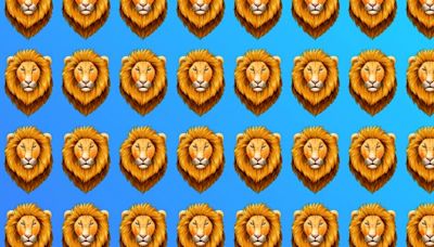 ¿Podrás encontrar al león diferente en la imagen? Solo un 2% de usuarios lo logra