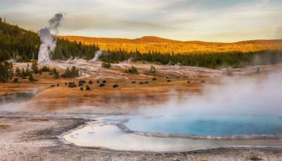 Planning a Trip to Yellowstone? Here’s the Best Time to Visit