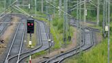 Falke verirrt sich in Hamburger S-Bahn-Tunnel - Kurzfristige Sperrung