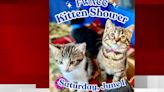 FWACC, Black Forest Cat Café partner to host ‘Kitten Shower’ event