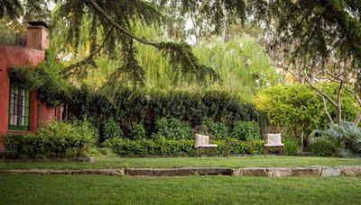 Garden expert issues warning to avoid ruining furniture when it's not being used