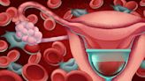 El potencial sin explotar de las células madre de la sangre menstrual