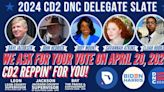 5 North Florida residents elected as delegates to Democratic National Convention in Chicago