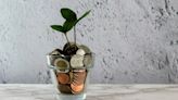 Estas son las plantas que te ayudan a atraer el dinero según el Feng Shui