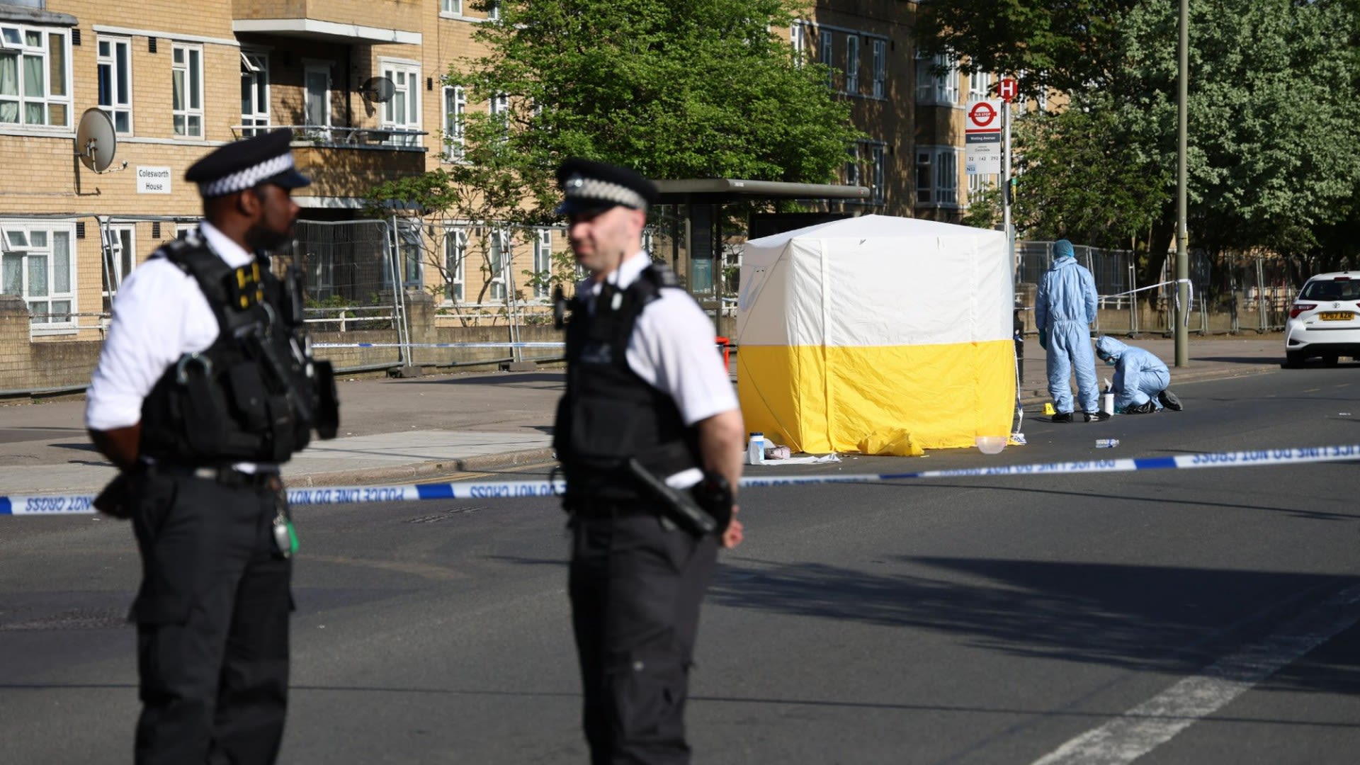 Witnesses 'tried to save' woman, 60, after she was stabbed to death