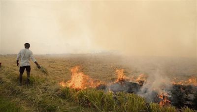 Jalandhar DC reviews preparations to check stubble burning