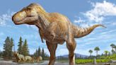 Newfound T. rex relative was an even bigger apex predator, remarkable skull discovery suggests