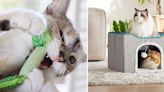 Weird, clever things that make your cat less pissy