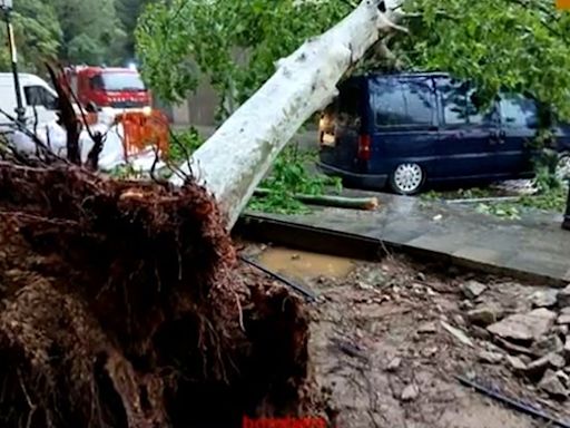 Lluvias históricas en Cataluña: Barcelona registra el día más lluvioso en cuatro años