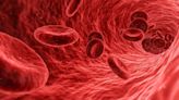 Novel Cell Type in Blood Vessels Found Responsible for Vascular Growth