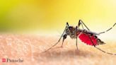 Monsoon Maladies: Malaria is more prevalent in the rainy season, 5 ways to stay safe