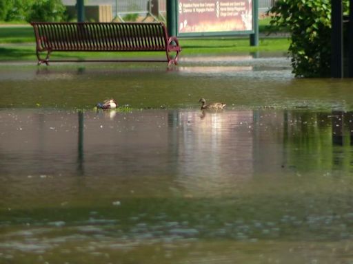 Mississippi River expected to crest in Twin Cities this week, parts of Harriet Island underwater