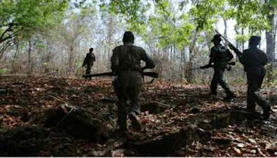 30 Maoists Killed In Fierce Encounter By Security Forces In Chhattisgarh's Narayanpur