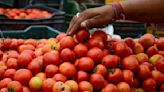 Monsoon impact: Tomato prices soar to Rs 90 per kg in Delhi as supplies hit