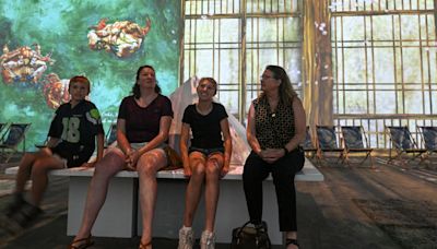 Immersive event brings van Gogh's classic paintings to life