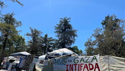 UC Davis pro-Palestine encampment contends with counterprotesters, spokesperson says