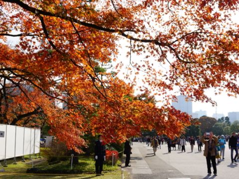 出國團費 日本賞楓團漲最多 | 旅行團 | 日本旅遊 | 賞櫻 | 大紀元