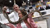 Sweetwater's Rattlesnake Roundup is this week. Snake advocates are pushing for change