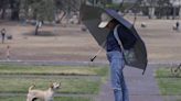 La Jornada: Persistirá el calor