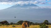 Retiree Dies from Altitude Sickness While Climbing Mount Kilimanjaro: 'A Great Man'