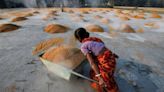 World rice price index jumps to near 12-year high in July -FAO