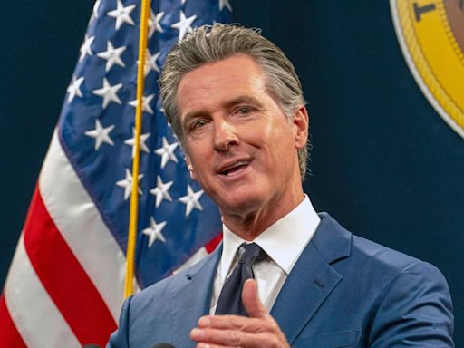 US election: Democrat Gavin Newsom looks best placed to replace Biden