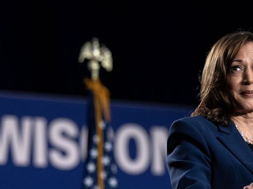 'Kamala just broke Zoom': 136K white women overcome glitchy call to raise over $1M