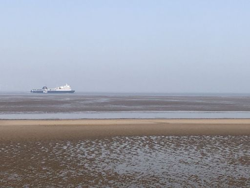 Boy missing after swimming with friends in River Mersey, police say