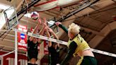 Sunday's high school results: OHSAA boys volleyball state final