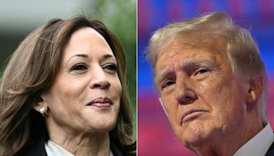 Harris vs. Trump: How do the candidates compare in recent swing state polls?