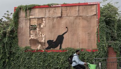 Banksy’s cat artwork to be taken down by hired contractors hours after unveiling