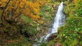 Una de las rutas más bonitas y sencillas de Asturias: descubre un conjunto de cascadas de 100 metros de altura