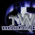 Texas Wrestling Academy