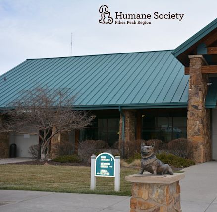 Humane Society Of Pikes Peak Region Colorado Springs Yahoo Local   Fdea8217708f428cbfc0f02a340bd2b9 