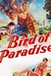 Bird of Paradise (1951 film)