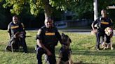 DeKalb Sheriff’s K9s receive new bulletproof vests