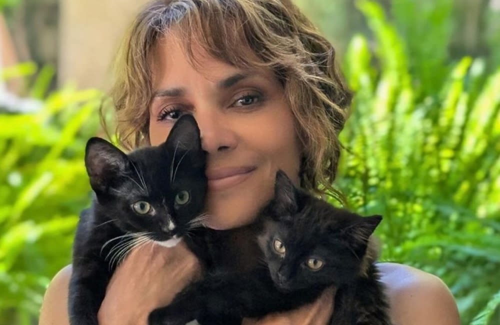 Halle Berry’s ‘Catwoman’ role took her from lifelong dog fan to cat lover