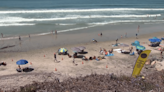 Know before you go: New app shows real-time beach conditions in Encinitas