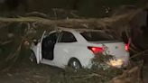 Temporal de lluvia y viento en Chile causó destrucción y muertos: su efecto en Mendoza | Mundo