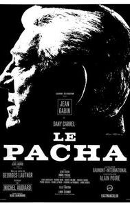 Pasha (film)