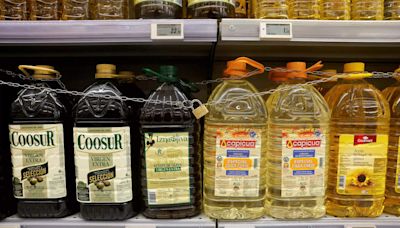 India buys record amount of sunflower oil as Ukraine-Russia fight for market share cuts price - ET Retail