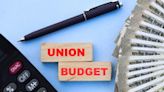 Budget 2024: Job creation, other booster shots likely for fitter economy - The Economic Times