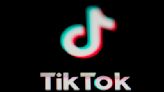 The slang terms circulating on TikTok — and what they mean