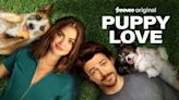 Puppy Love (2023): Where to Watch & Stream Online